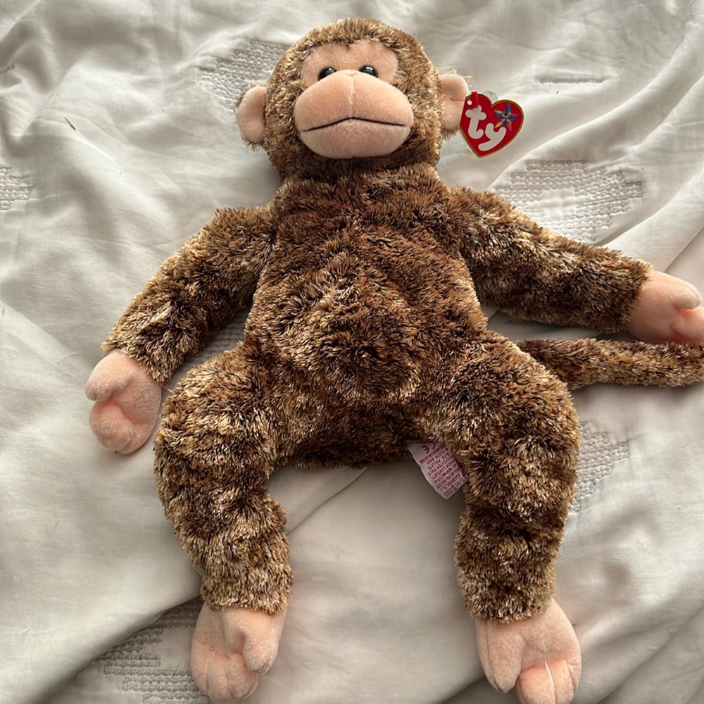 Rare Ty Bonsai Beanie Buddy in excellent condition